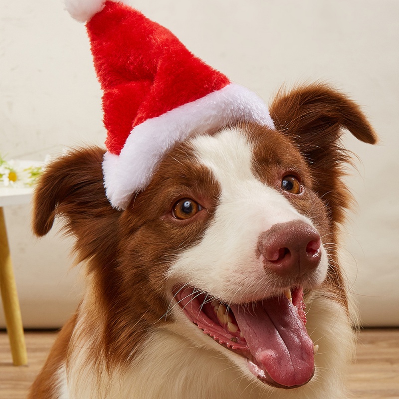 Dog Cats Hat Christmas Decorat - огляд і ціна Santa Hat Plush